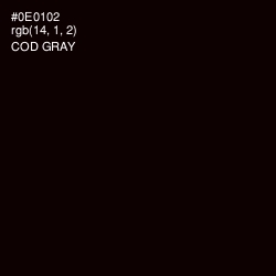#0E0102 - Cod Gray Color Image
